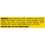 Raisinets Milk Chocolate Large Bag, photo 8